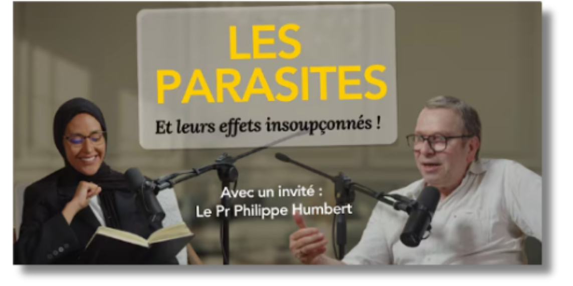 Session live septembre