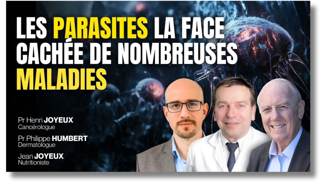 Session live septembre